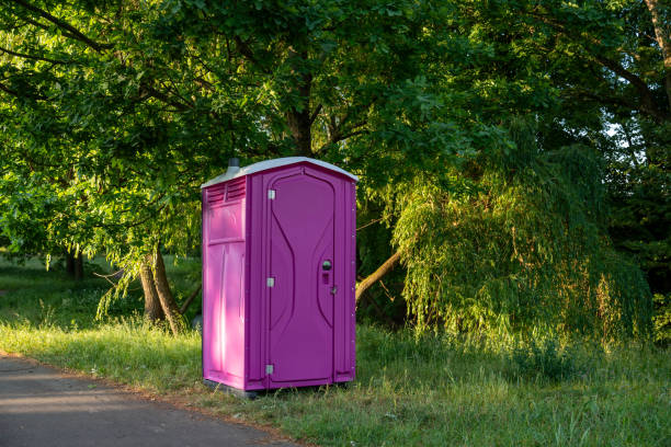 Types of Portable Toilets We Offer in Laurium, MI